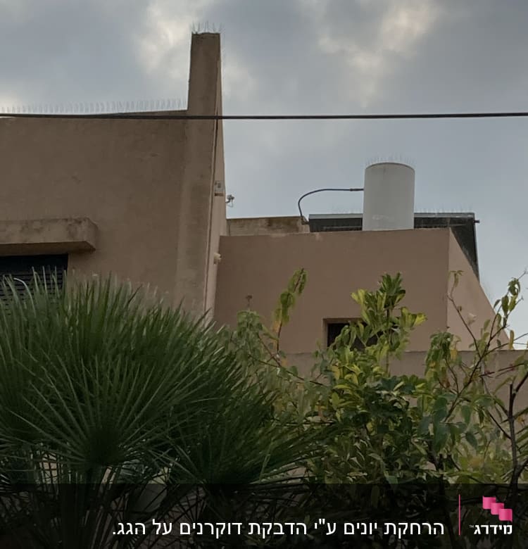 דוקרנים על גג למניעת יונים